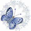 Blue Butterfly Sparkle