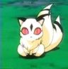 kirara
