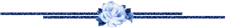 blue glitter rose flower