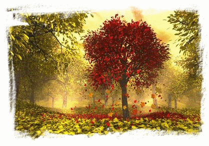 Animated GIFs Â» Nature Â» Autumn Tree