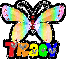 Tracy (Butterfly)