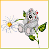 Teddy Bear With Flower