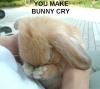 U Made Bunny CRY!!