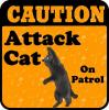 cat attack