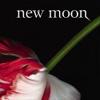 cover,new moon