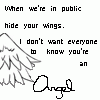 Hide Your Wings