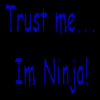 trust me... im ninja