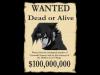 Sasuke wanted