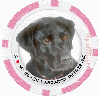 Black Labrador Retriever Pink Poker Chip