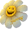 Sunflowersmiley~Jammy