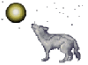 HOwling wolf