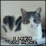 I Leave Bite Marks