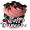 Jeff's Cupcake