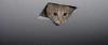 Ceiling Cat is Watching you.