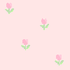 BG â–“ - pink tulips