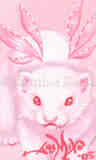Pink Ferret