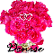 Denise (dozen pink roses)