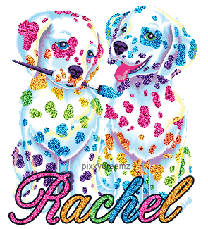 colorful puppies rachel