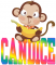 Candice monkey