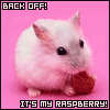 it's my raspberry