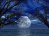 moon of the night