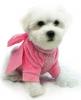 cute puppy in pink top!