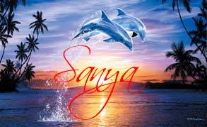 Dolphin Tag- Sanya