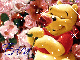 Pooh Flowers- Erica