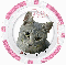 pink grey tabby cat poker chip Pellie