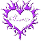 Suzette purple heart