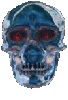 Chrome Skull 
