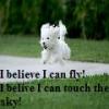 I believe I can fly!