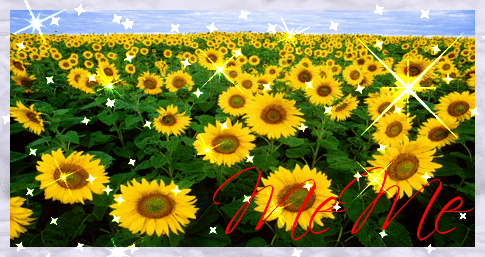 Sunflower Field (with sparkles)- MeMe