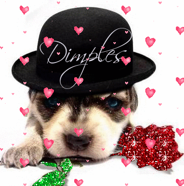 Puppy wearing hat (glitter rose & floating hearts)- Dimples