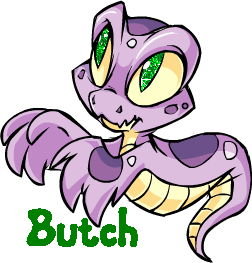 Neopet Baby Hissi (glitter)- Butch