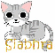 Siabhra - Tabby Cat