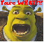 Shrek- You're WHAT?!?