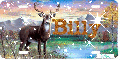 Buck Deer in the woods Tag (with sparkles)- Billy