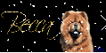 Chow Chow (tan) Tag with sparkles- Becca