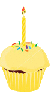 yellow cup cake