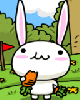 cute bunny eating carrot