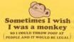 Sometimes I Wish I Was a Monkey