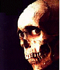 evil dead skull