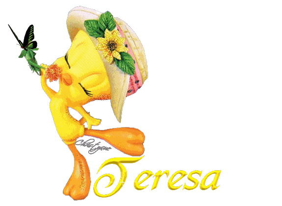 Teresa with tweety