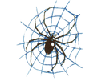 Spider & Blue Web