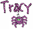 spider tracy