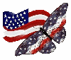 butterfly, patriotic