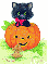 Cat-Pumpkin-Ingrid
