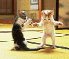Dancing Kitties