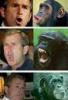 Bush and monkey
